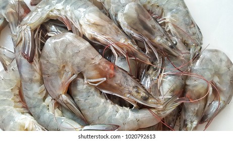 160,080 Green prawns Images, Stock Photos & Vectors | Shutterstock