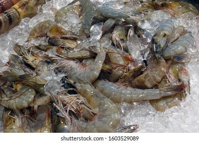 Raw prawns with ice on fresh market, Bangkok, Thailand.