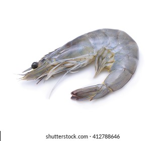 Raw Prawns Isolated On White Background