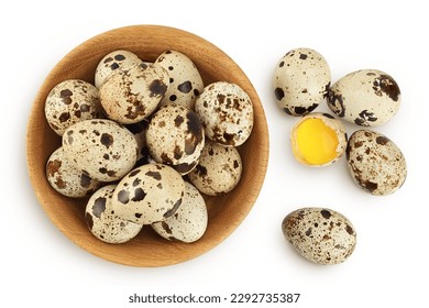 Raw quail egg in wooden bowl isolated on white background with full depth of field. Top view. Flat lay - Powered by Shutterstock