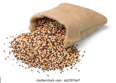 raw quinoa in the sack, isolated on white background, (large depth of field, taken with tilt shift lens)