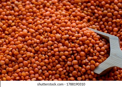 Raw Red Lentils Close Up