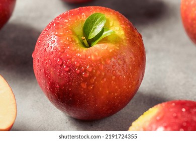 Raw Red Organic Cosmic Crisp Apples in a Bunch