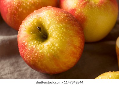 Honeycrisp Images Stock Photos Vectors Shutterstock