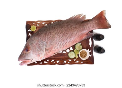 Raw Red Snapper fish placed on a decorative plate with white background