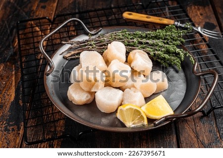 Raw scallops in a steel tray with herbs. Wooden background. Top view.