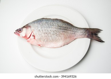 Raw Sea Bass