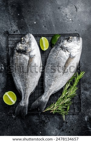 Similar – Image, Stock Photo Raw whole dorado fish on wooden kitchen board and spices for cooking, top view on black table