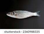 Raw seabass. One fresh sea bass fish on the black background.