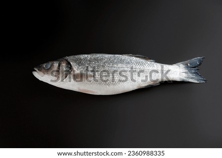 Raw seabass. One fresh sea bass fish on the black background.