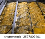 Raw seasoned pieces of giant gourami fish (Osphronemus goramy)