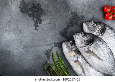 Raw Set Of Seabream Or Gilt Head Bream Orata Fish With Herbs Pepper Lime Tomato For Cooking And Grill On Grey Textured Background, Top View With Space For Text