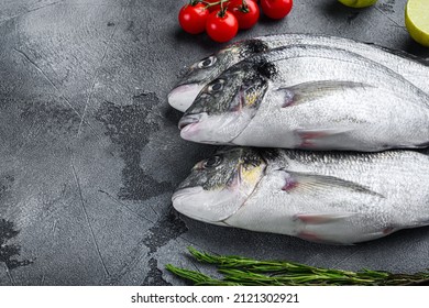 Raw Set Of Seabream Or Gilt Head Bream Orata Fish With Herbs Pepper Lime Tomato For Cooking And Grill On Grey Textured Background, Side View  With Space For Text