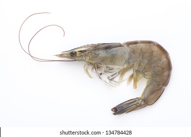 Raw Shrimp