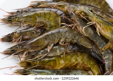 Raw Shrimp On White Background Stock Photo 1239222646 