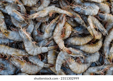 Raw shrimps for sale at street market - Shutterstock ID 2311302999