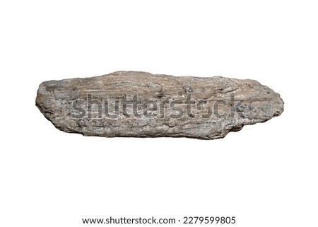 Raw specimen of schist rock stone with garnet isolated on white background.