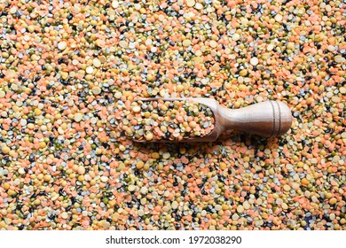 Raw split dried mixed lentil