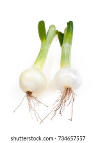 Raw Spring Onion Isolated On White Background