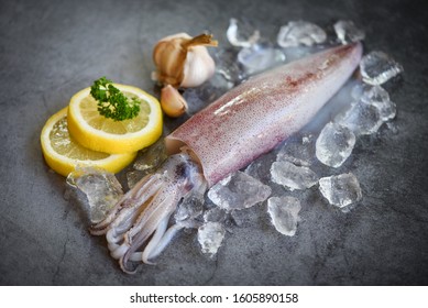 Raw squid on ice with salad spices lemon garlic on the dark plate background / fresh squids octopus or cuttlefish for cooked food at restaurant or seafood market 