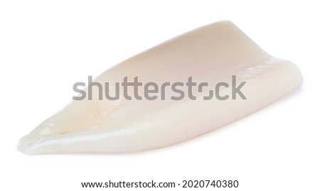 Raw squid tube isolated on white. Fresh seafood