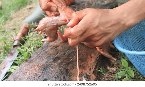 Raw squirrel meat that has been cleaned of its skin and fur, prepared for consumption by hunters. - Powered by Shutterstock