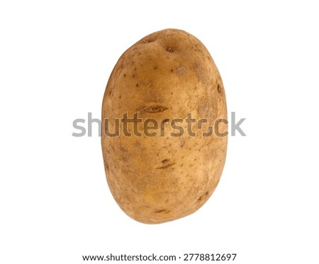 Raw Starchy Potato Clean Studio Shot