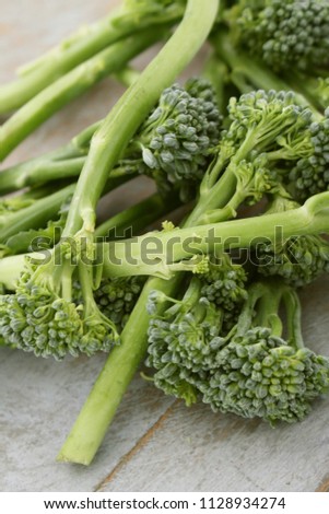 raw stem broccoli