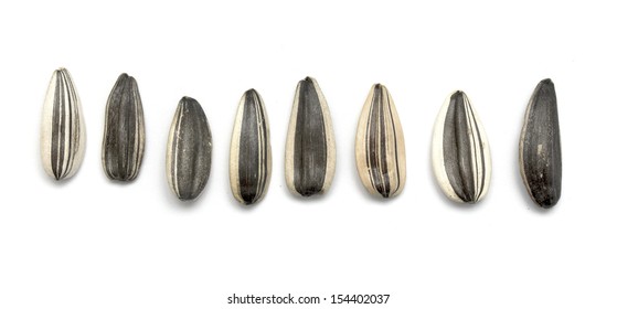 Raw Sunflower Seeds