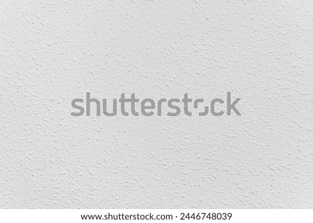 Raw Texture of White Plaster Wall