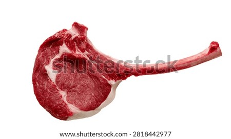Raw tomahawk beef steak with long bone and marbled red meat