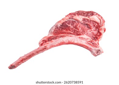 Raw tomahawk steak with marbling, fresh rib eye with bone Isolated on a white background. top view.
