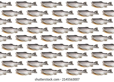 Raw Trout Carcass Isolated On A White Background Pattern. Sea Fish, Healthy Food, Mockup, Flat Lay, Template. A Trendy Hard Light, Dark Shadow