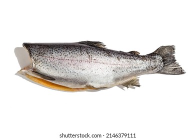 Raw Trout Carcass Isolated On A White Background. Sea Fish, Healthy Food, Mockup, Flat Lay, Template. A Trendy Hard Light, Dark Shadow