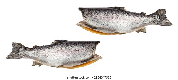 Raw Trout Carcass Isolated On A White Background. Sea Fish, Healthy Food, Mockup, Flat Lay, Template. A Trendy Hard Light, Dark Shadow, Banner Format