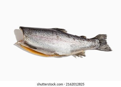 Raw Trout Carcass Isolated On A White Background. Sea Fish, Healthy Food, Mockup, Flat Lay, Template. A Trendy Hard Light, Dark Shadow