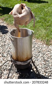 Raw Turkey About To Be Carefully Dropped Into The Outdoor Propane Frier Pot.