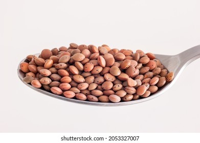 Raw Uncooked Lentils On A Silver Spoon On White Background, Close Up, No People.