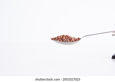 Raw Uncooked Lentils On A Silver Spoon On White Background, Close Up, No People.