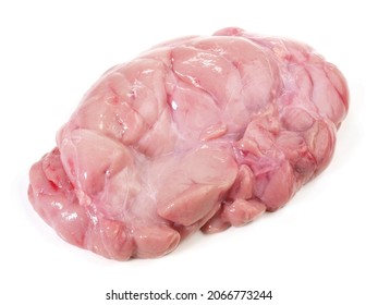 Raw Veal Sweetbread isolated on white Background.