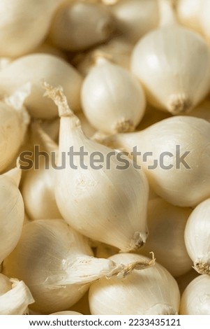 Raw White Organic Pearl Onions in a Bunch