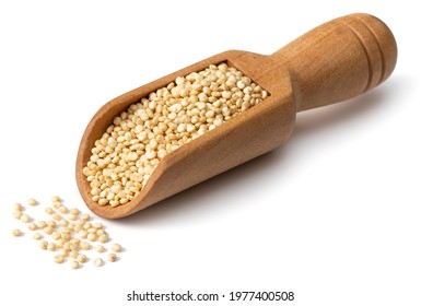 raw white quinoa in the wooden scoop, isolated on white background