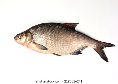 
Raw Whole Fish Bream. Isolated On White. Freshwater Common Bream Known As Bronze Bream Or Carp Bream (Abramis Brama) 