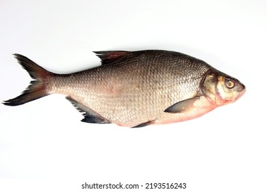 
Raw Whole Fish Bream. Isolated On White. Freshwater Common Bream Known As Bronze Bream Or Carp Bream (Abramis Brama) 