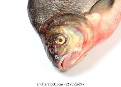 
Raw Whole Fish Bream. Isolated On White. Freshwater Common Bream Known As Bronze Bream Or Carp Bream (Abramis Brama) 