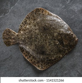 Raw Whole Flounder Fish On Dark Stone Background, Top View