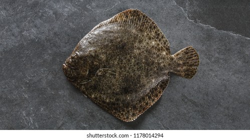 Raw Whole Flounder Fish On Dark Stone Background, Top View