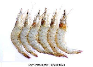 Raw Whole Fresh Uncooked Prawns Shrimps Isolate In A White Background. Top View With Copy Space, Fresh Uncooked Prawns Shrimps Bought At The Marking, Fresh Prawn Shrimp For Cooking, Seafood.