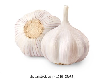 Raw whole garlic isolated on white background. Full depth of field.