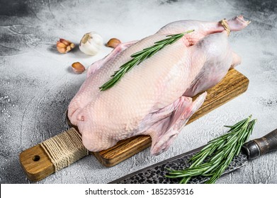 Raw Whole Goose, Poultry Meat. Black Background. Top View